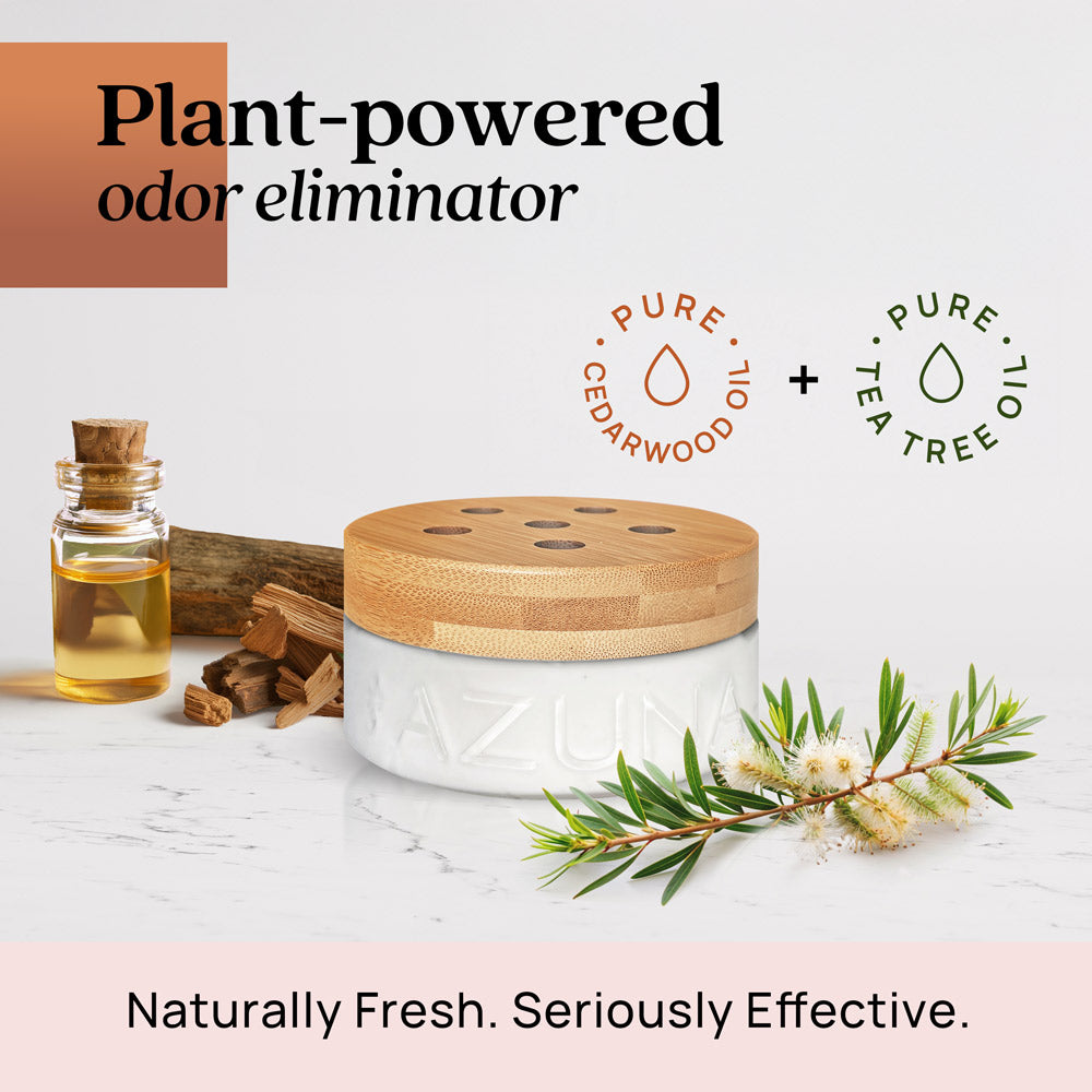 Luxe Glass Pet Odor Eliminator 4 Room Kit