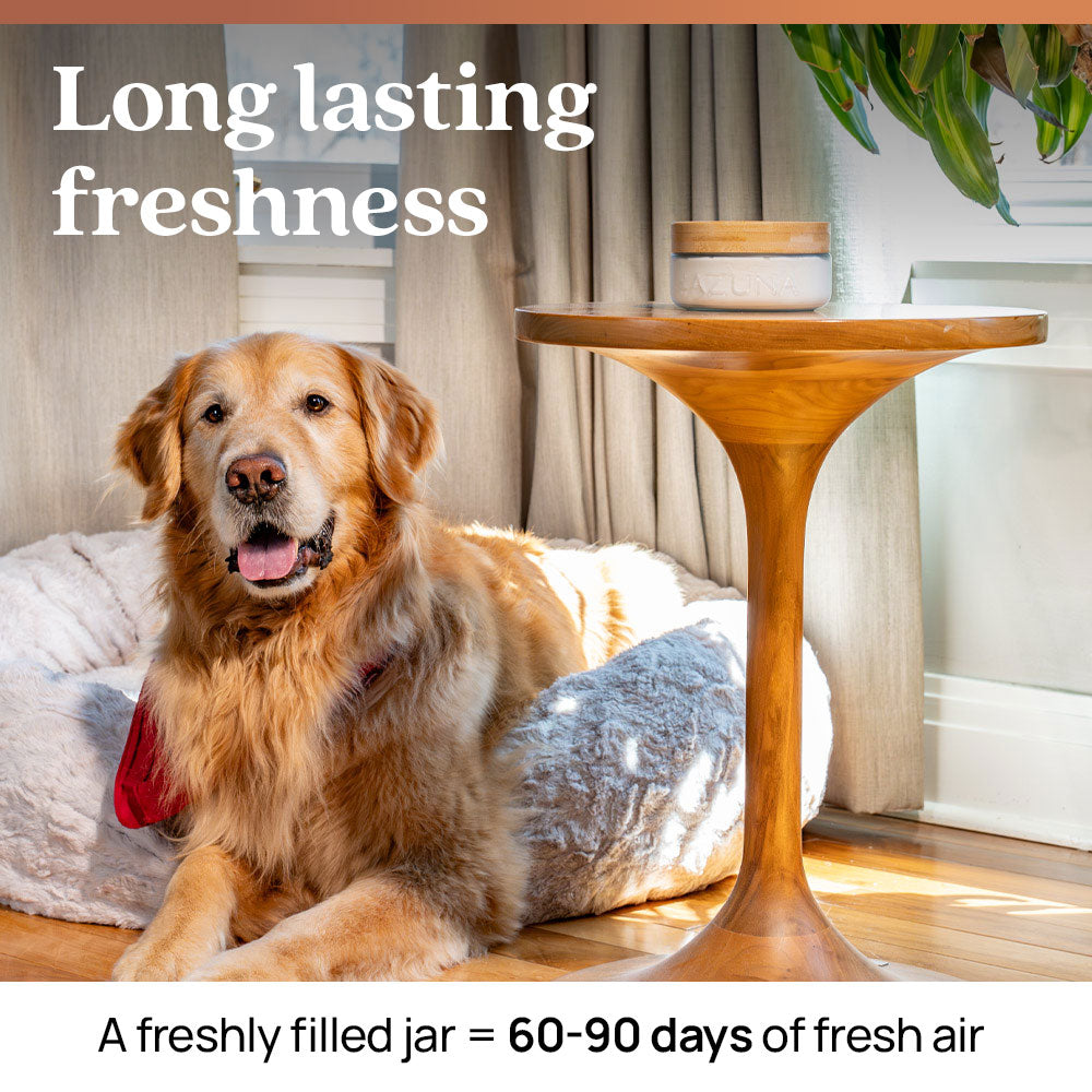 Luxe Glass Pet Odor Eliminator 4 Room Kit